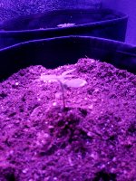 IMG_20180124_173531.jpg
