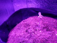 IMG_20180124_173608.jpg