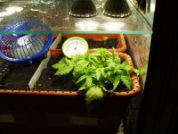 24 янв Мазар.JPG