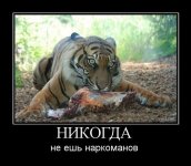 1427007810_anekdoti_pro_nankomanov-6.jpg