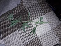 20180125_174330.jpg