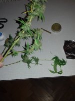 20180125_174005.jpg