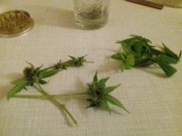 20180125_174111.jpg
