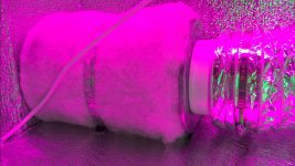 IMG-4d674bb5e19986482711040a66789282-V.jpg