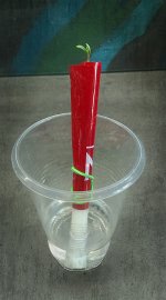 IMAG1327.jpg