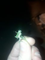 20180126_173451.jpg