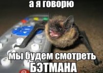 images (1).jpg