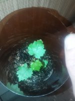 20180127_155107.jpg