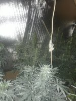 20180129_060611.jpg