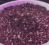 IMAG1344.jpg