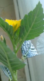080820121689.jpg