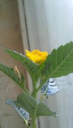 080820121691.jpg