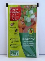 kalipso2.jpg