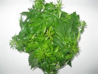 IMG_0892.JPG