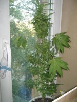 IMG_1543.jpg