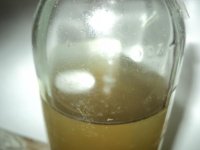 DSC02032.jpg