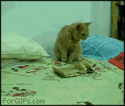 к12.gif