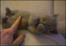 к13.gif