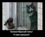 хоз.jpg