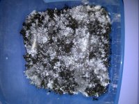 IMG-20120918-00012.jpg