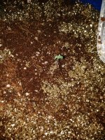 IMG_20180129_180519.jpg