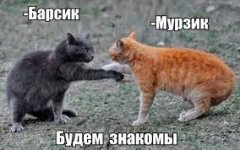 images (1).jpg
