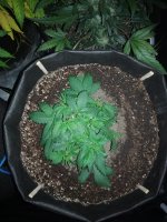 IMG_20180131_001621.jpg