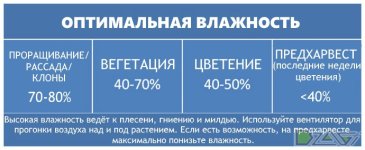 temp8.jpg