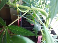 20180204_121417.jpg