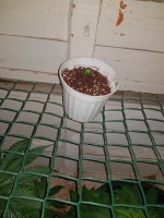 20180204_185755 - копия.jpg