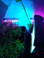 20180204_183732.jpg