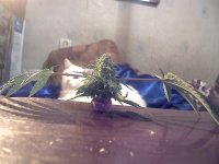 vlcsnap-00005 копия.jpg