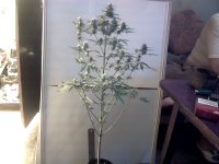 vlcsnap-00011 копия.jpg