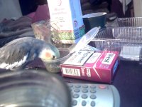 vlcsnap-00013 копия.jpg