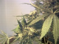 vlcsnap-00019 копия.jpg