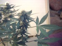 vlcsnap-00020 копия.jpg