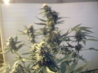 vlcsnap-00031 копия.jpg