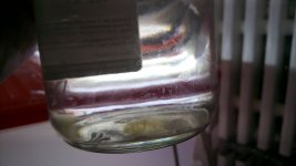 DSC_9541.JPG