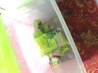 IMG_2217.JPG