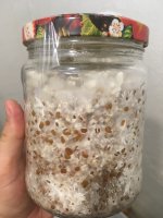 IMG_2258.JPG