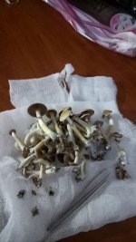 IMG_20180214_173636.jpg