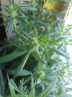 20180214_114500.jpg