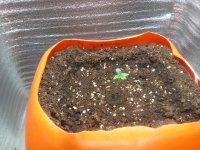 IMG_20180215_183641.jpg