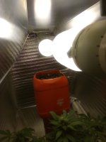 IMG_20180215_183742.jpg