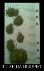 план на неделю прикол.jpg