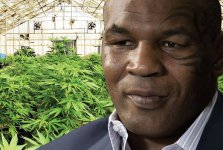 mike-tyson-weed-farm-kulture-hub.jpg