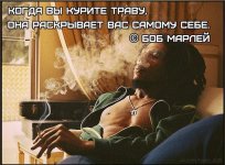 Трава раскрывает.jpg