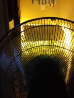 20180220_132531.jpg