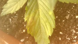 IMG_20180221_012207.jpg