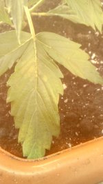 IMG_20180221_012255.jpg